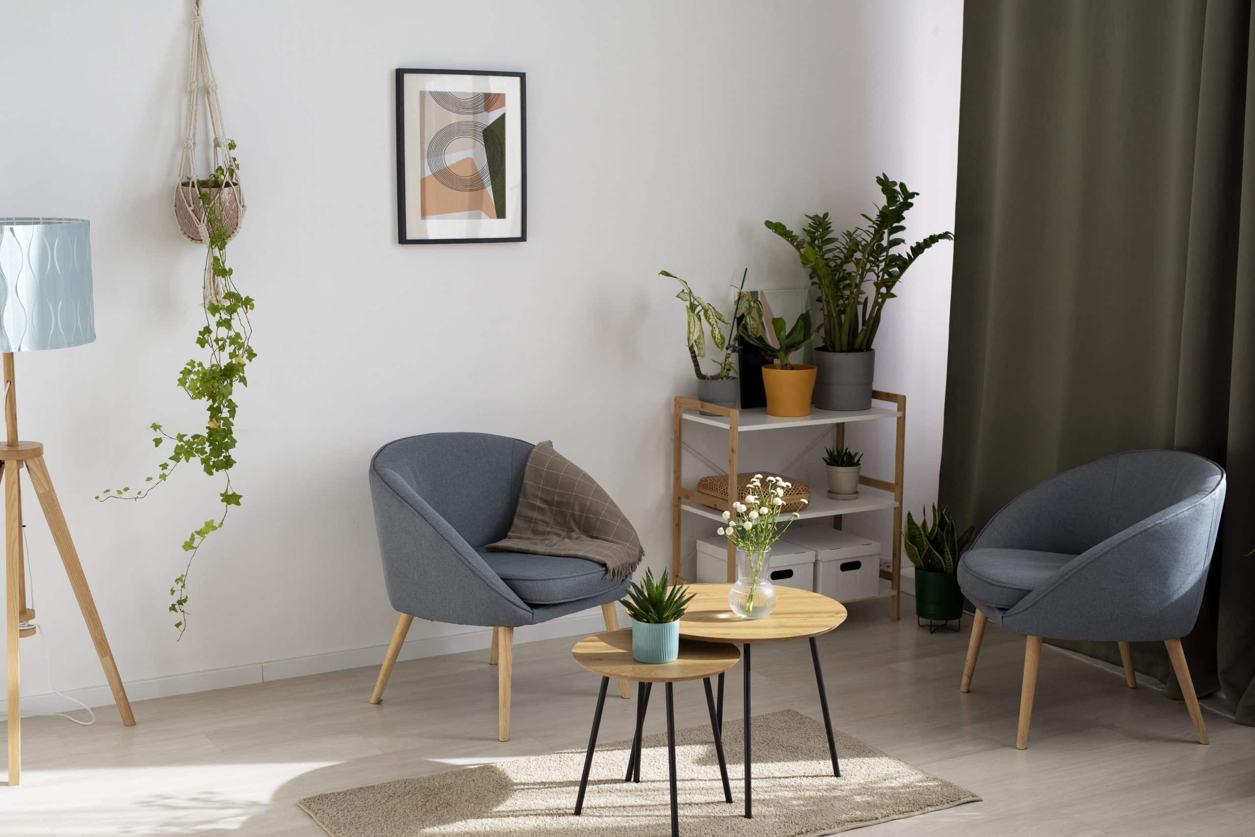 Pièce avec des chaises, une petite table basse, des plantes et un cadre
