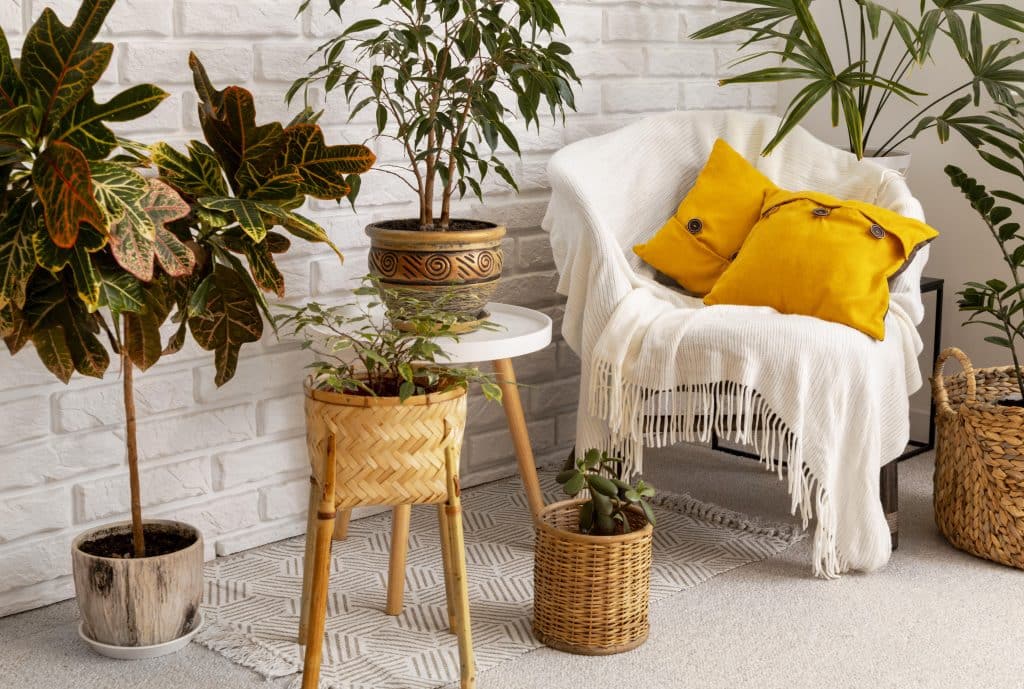 Chambre avec des plantes vertes