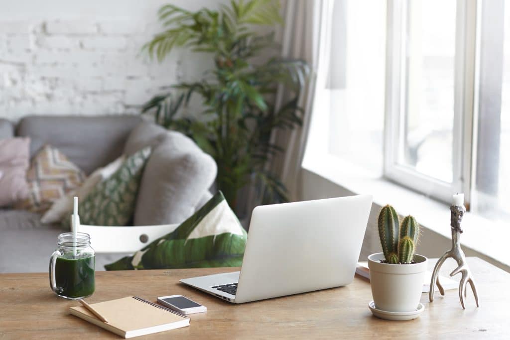 Espace de travail avec bureau, ordinateur et plantes